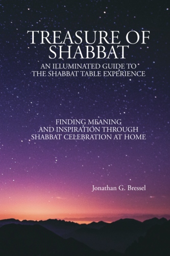 Treasure of Shabbat book cover image